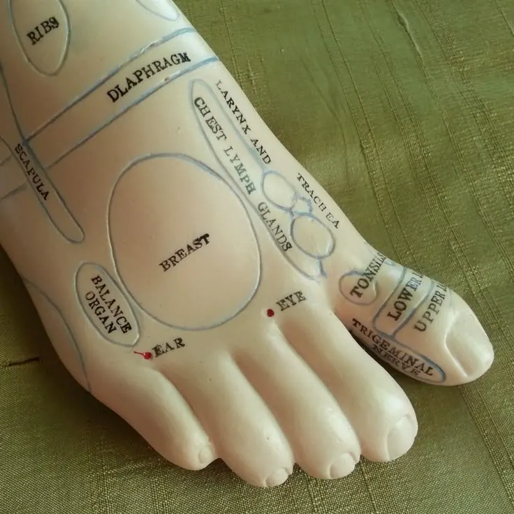 Certificate in Foot Reflexology training session at the Kira Exotica beauty academy in Indore